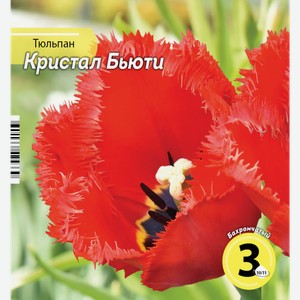 Луковицы РУССКИЙ ОГОРОД Тюльпан Кристал Бьюти 10/11, ярко-красный, Арт. НК342433, 3шт