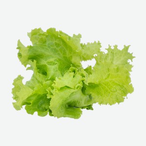 ЗЕЛЕНЬ САЛАТА СВЕЖЕГО ГОРКУНОВ ШТ. Цена указана по карте  Премия . Цена без карты 42,08 руб