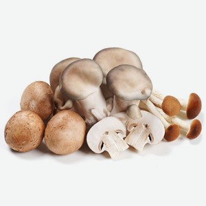 Грибы Есть Грибы шампиньоны, вешенка, опята для каши по-суздальски 210г, 210 г