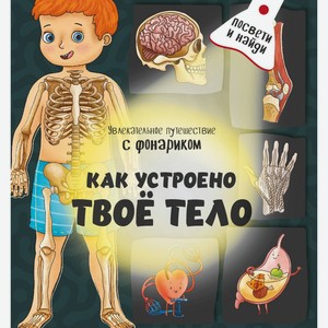 Книга Книга с фонариком  Как устроено твое тело Бимбимбон