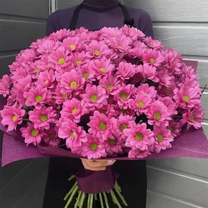 AZALIANOW ЦВЕТЫ. ПОДАРКИ. ДЕКОР Букет из 25 розовых кустовых хризантем в упаковке, Букеты и композиции из живых цветов могут на несколько тонов отличаться от изображений. Часть цвета искажается в зависимости от настроек экрана.
