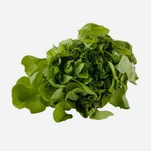 Салат эксклюзив зеленый блюз Саланова