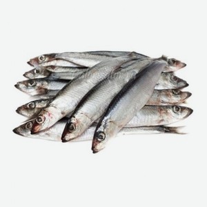 Рыба свежемороженая Путассу н/р