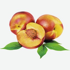 Фрукты Нектарин Импорт